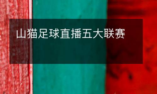 山貓足球直播五大聯(lián)賽