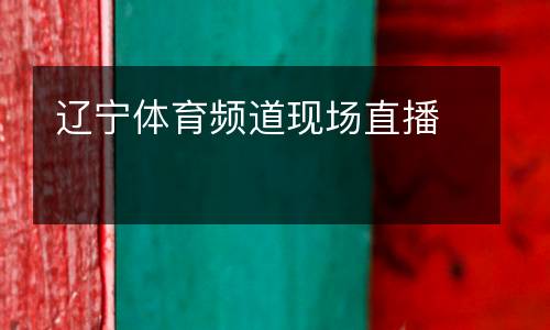 遼寧體育頻道現(xiàn)場直播
