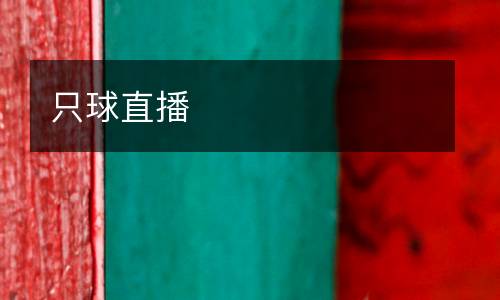 只球直播